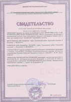 ������������� �������� �����Shklo Ice ����